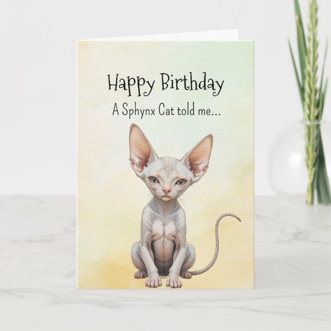 Cartão Um Sphynx Cat Personalidade de Aniversário (Frente)
