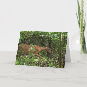 Cartão Um Stroll Through the Woods
