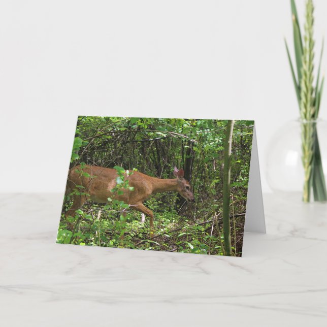 Cartão Um Stroll Through the Woods (Frente)