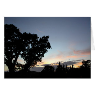 Cartão Um Sunset de abril atrás de uma árvore de carvalho