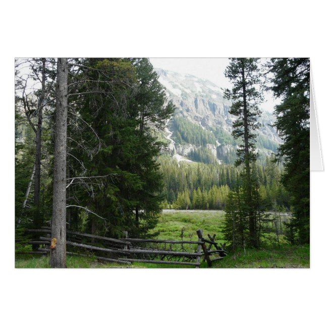 Cartão Um vale no parque nacional de Yellowstone (Frente Horizontal)
