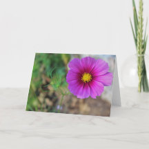 Um ventilador de Dentro de galáxia