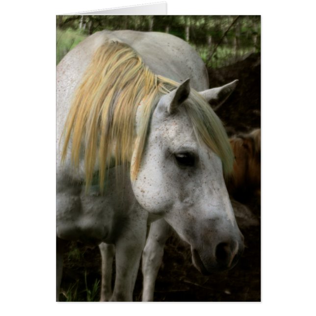 Cartão Uma Alma Gentil (Frente)