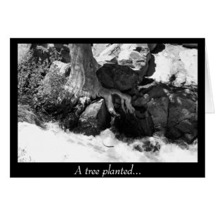 Cartão Uma árvore plantada…