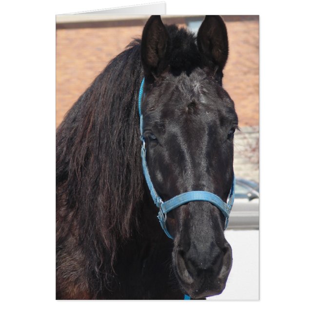 Cartão Uma Beleza Negra (Frente)