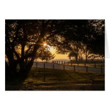 Uma Boa Noite Em Whalehead