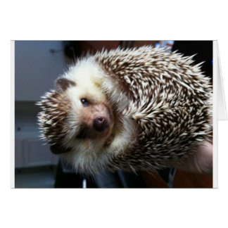 Cartão Uma bola de Spike