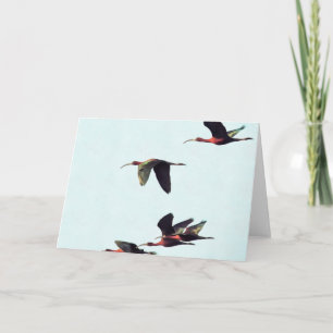 Cartão Uma borda de Ibises em Voo