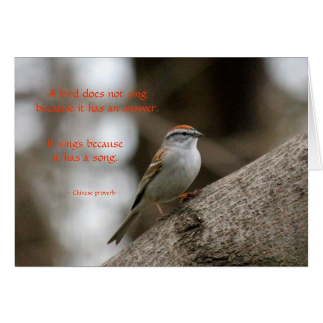 Cartão Uma canção (Frente horizontal)