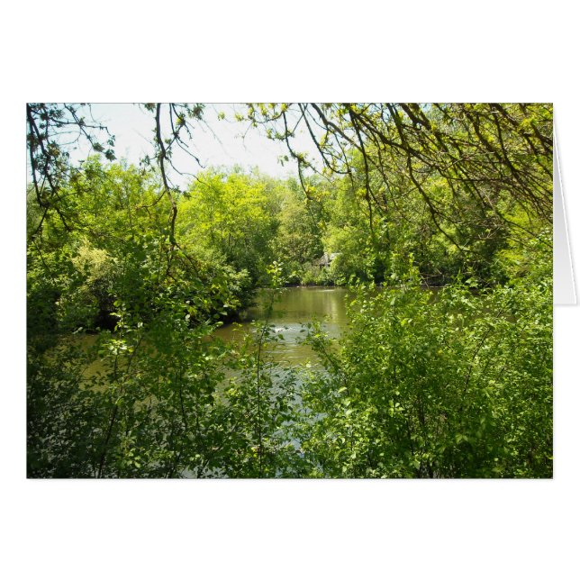 Cartão Uma casa de cabana arrumada (Frente Horizontal)