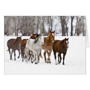 Cartão Uma cena de inverno de corrida