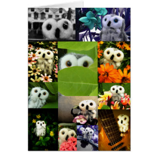 Cartão Uma Coruja Chamada Ophelia