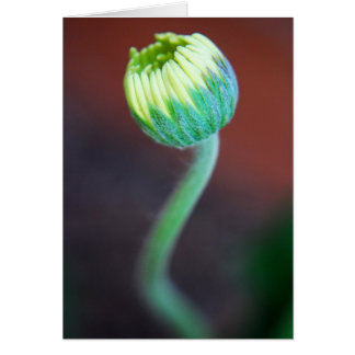 Cartão Uma estação nova