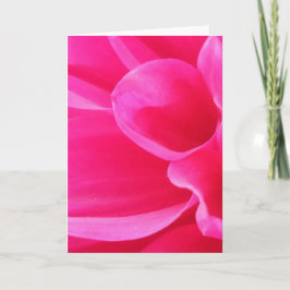 Cartão Uma Flor Delilah de Fechamento Vibrante (Vazio)