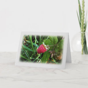Cartão Uma framboesa madura