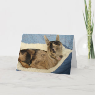 Cartão Uma Gata De Garrafa Chamada Aussie