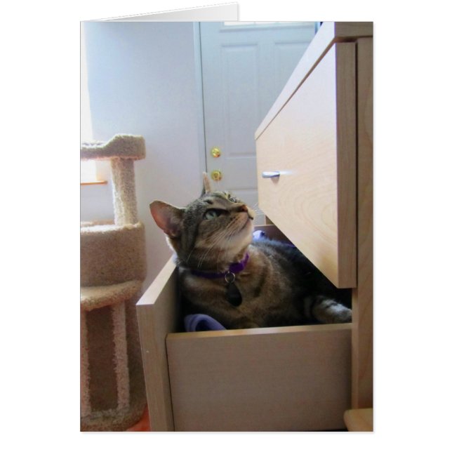 Cartão Uma Gaveta Para Placa Indigo (Frente)