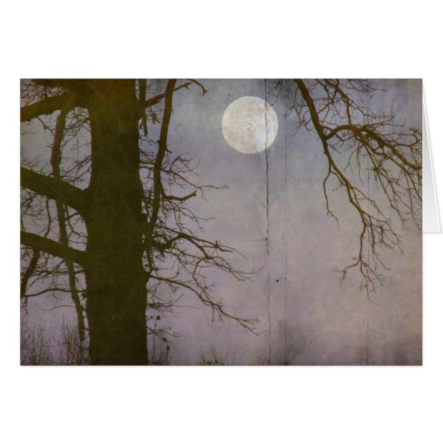Cartão Uma Lua Cheia (Frente Horizontal)