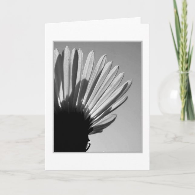 Cartão Uma Morte Cai. . (Frente)