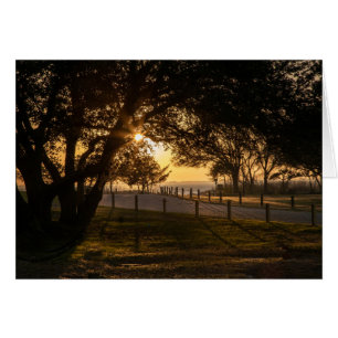 Cartão Uma Noite Em Whalehead