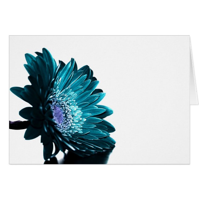 Cartão Uma noite enluarada (Frente Horizontal)