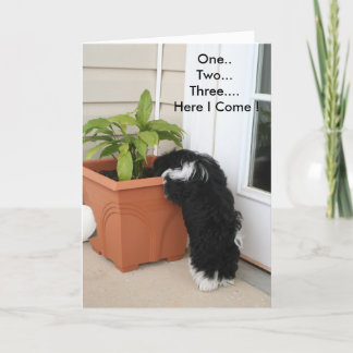 Cartão Uma placa de dois três