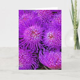 Cartão Uma Placa De Flor Divertida