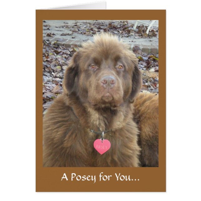 Cartão Uma Posey para você... (Frente)