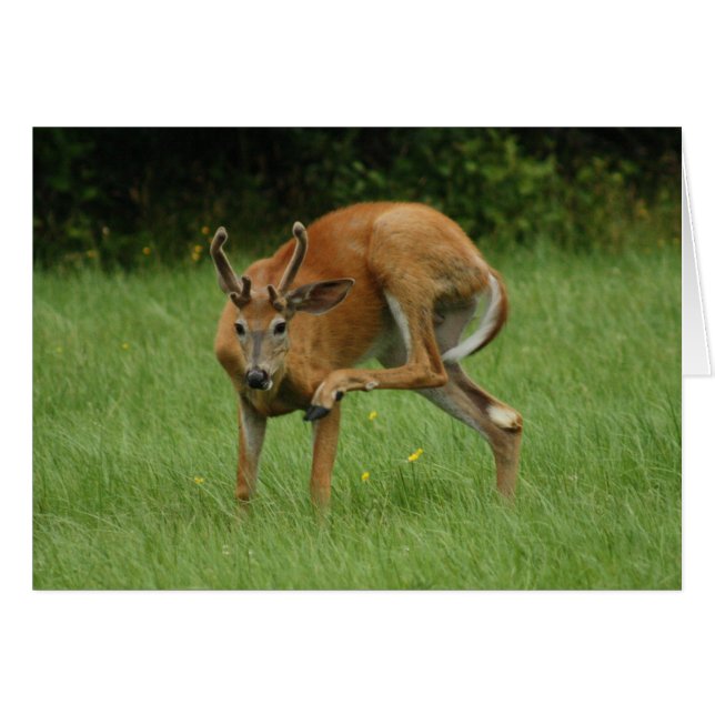 Cartão Uma Preta Itch (Frente Horizontal)