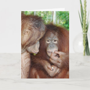 Cartão Uma princesa recebe todos os tratamentos