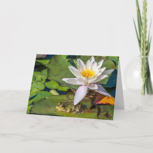 Cartão Uma rã sob uma flor de nenúfar (Frente)