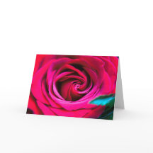 Uma Rosa é Apenas Uma Rosa