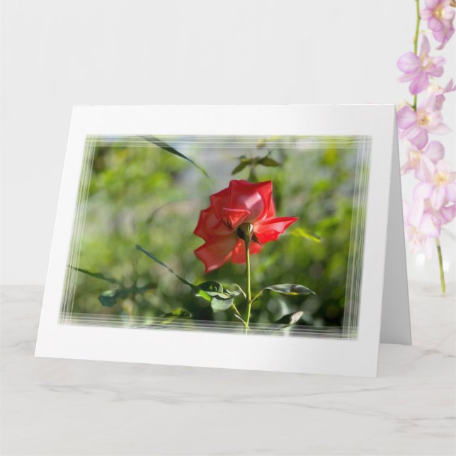 Cartão Uma rosa vermelha (Orquídea)