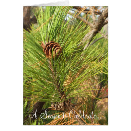 Cartão Uma temporada para celebrar...