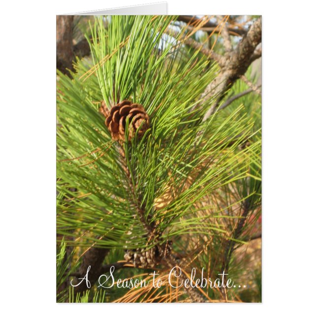 Cartão Uma temporada para celebrar... (Frente)
