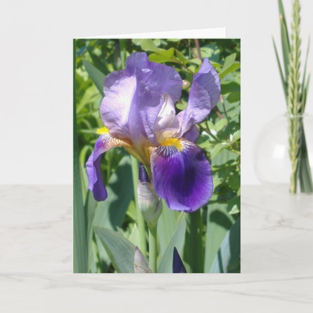 Cartão uma única íris perfeita (Frente)