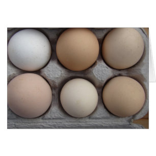 Cartão Uma Variedade Larga