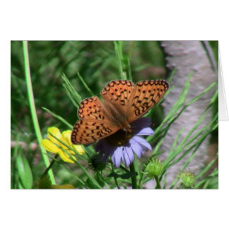 Cartão Umatilla Oregon Insetos / Aracnídeos Insetos Fauna