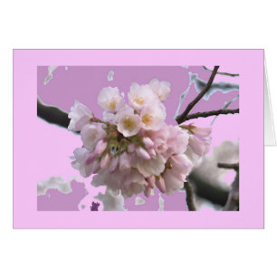 Cartão Única flor de cerejeira