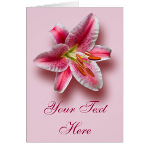 Cartão Único lírio cor-de-rosa do Stargazer