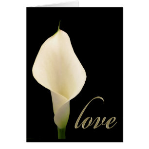 Cartão Único lírio de calla branco