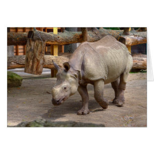 Cartão Unicornis do rinoceronte