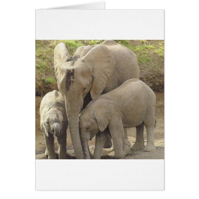 Cartão Unidade familiar.jpg (Frente)