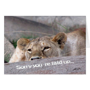 Cartão Up colocado da leoa '