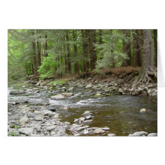 Cartão Upper Raymondability Falls