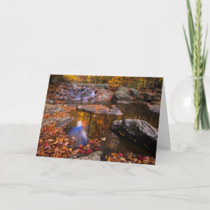 Cartão Upper Whiteoak Falls, Parque Nacional de Shenandoa