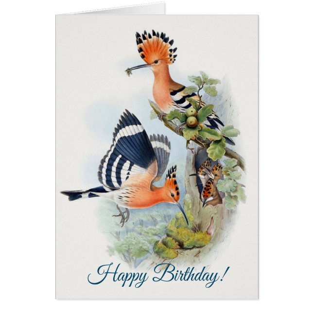 Cartão Upupa Epops Parabéns (Frente)