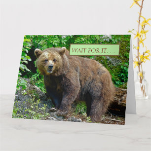 CARTÃO URSO/. ABRAÇOS DE URSO VINDOS AO SEU CAMINHO