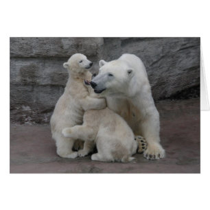 Cartão Urso Cubs polar e mãe