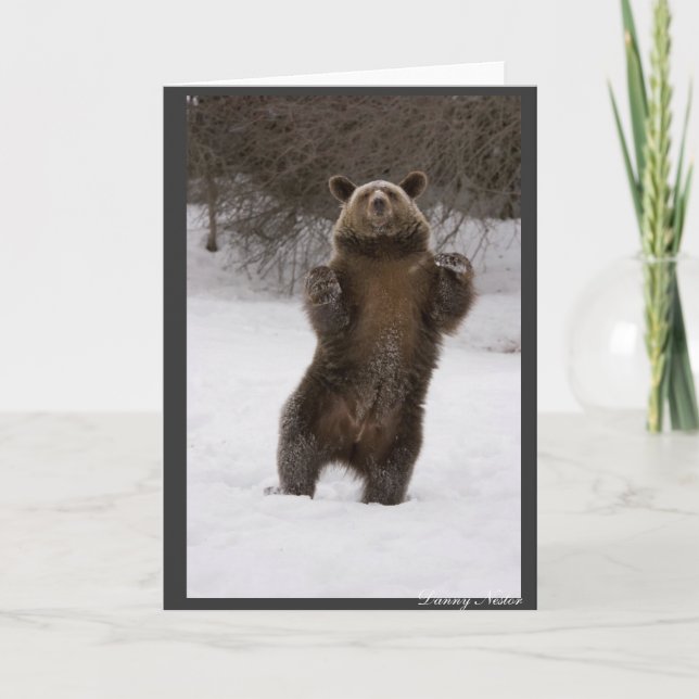 Cartão Urso Dançante (Frente)